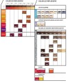 matrix socolor pre-bonded paleta 2.jpg
