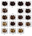 lechergeneza2.jpg
