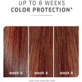 color motion 2.jpg