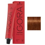 Schwarzkopf Igora Royal 6-77 Ciemny Blond Miedziany Extra Profesjonalna farba do włosów 60ml