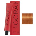 Schwarzkopf Igora Royal 8-77 Profesjonalna farba do włosów 60ml