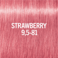 Schwarzkopf-BLONDME-Glow-Toner-9,5-81-Steel-60ml2.png
