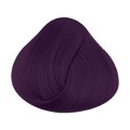 FARBA LA RICHE Directions TONER Plum 88 ml.jpg