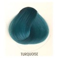FARBA LA RICHE Directions TONER Turquoise 88 ml.jpg