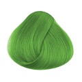 FARBA LA RICHE Directions TONER Spring Green 88ml.jpg